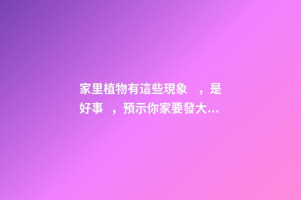 家里植物有這些現象，是好事，預示你家要發大財了！